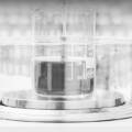 Ravetllat Reports 42% Revenue Growth in FY2024